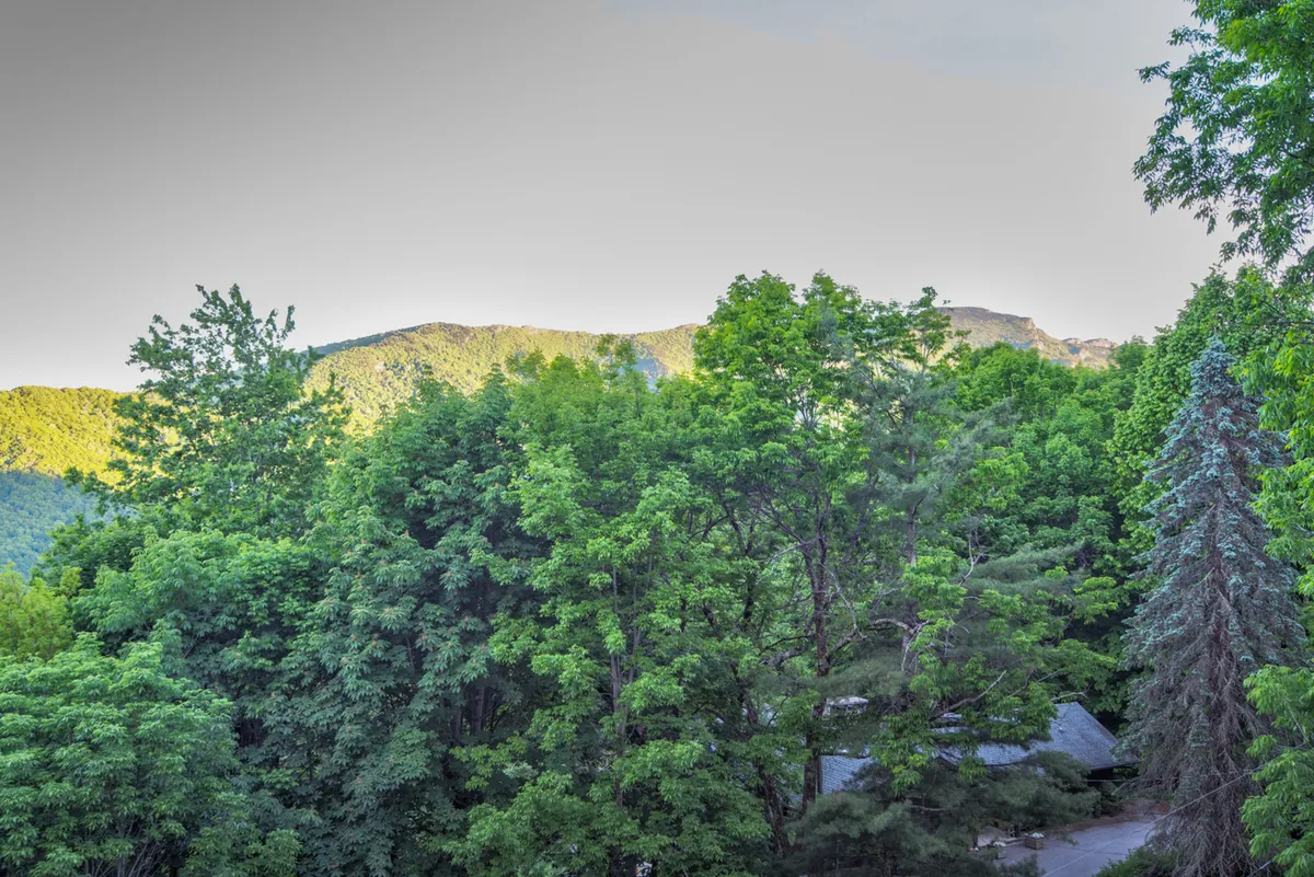 A classic High Country landscape with a sweeping mountain range, dense trees, and a vibrant blue sky. The scene evokes the sense of freedom and adventure that comes with hiking, birdwatching, or simply soaking up the natural beauty that surrounds the home.
