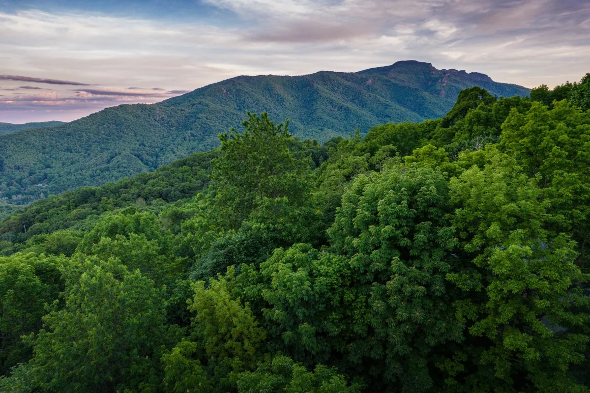 A sweeping view of a mountain range and forested hills under an open sky, evoking the sense of adventure and exploration available just beyond the property. The lush landscape invites hiking, wildlife watching, and nature photography.